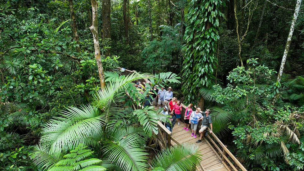 3 Day Reef & Rainforest Highlights