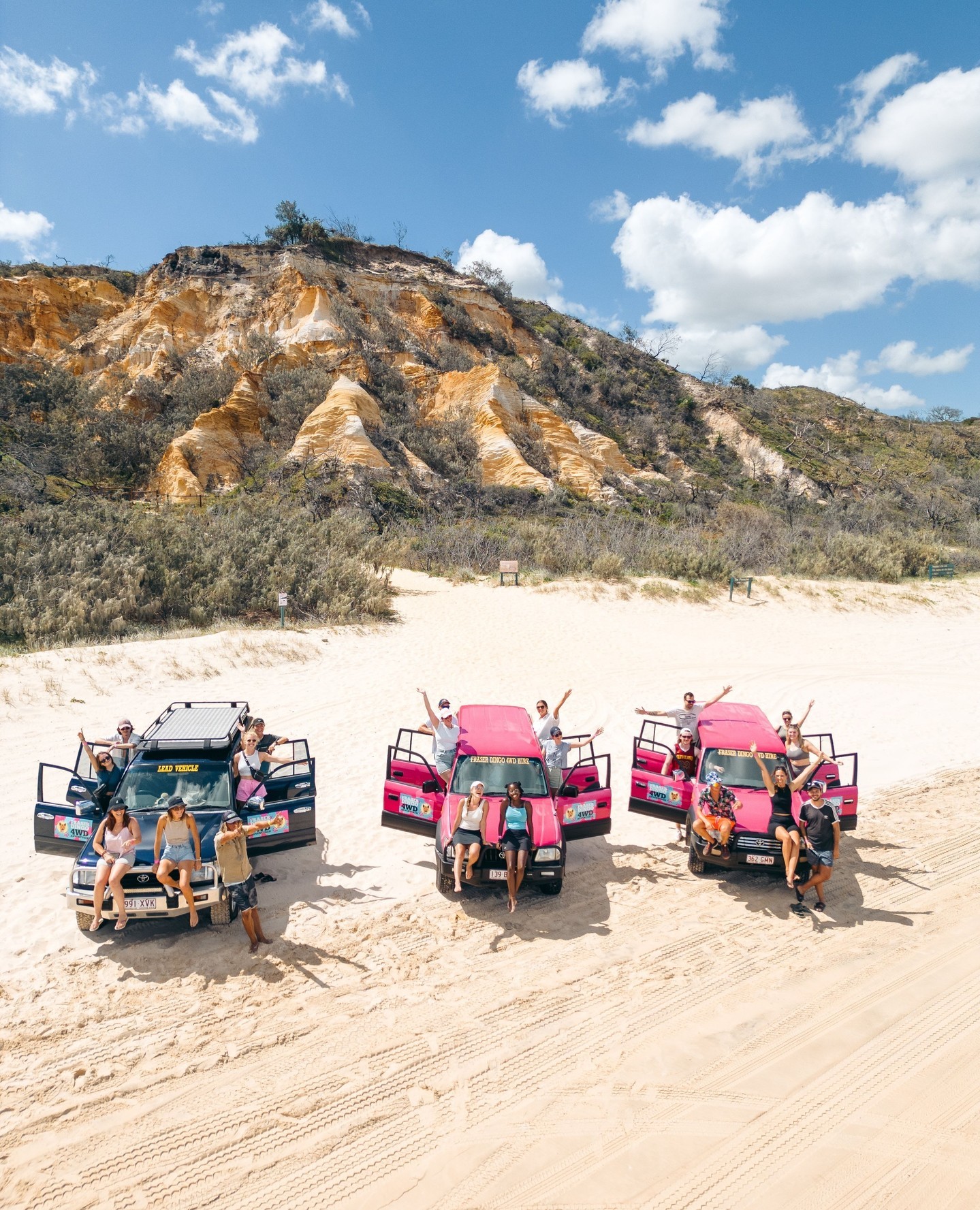Dingo Fraser Tour