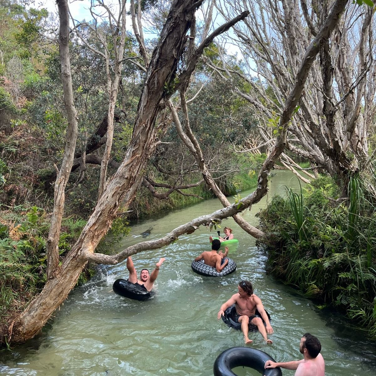 Pippies Tours
