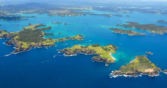 1 Day Bay of Islands