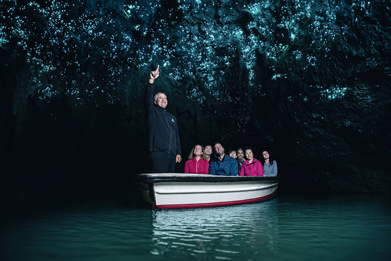 1 Day Hobbiton & Waitomo Caves
