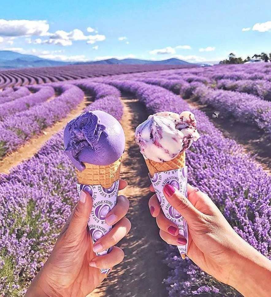 1 Day Port Arthur & Lavender Farm