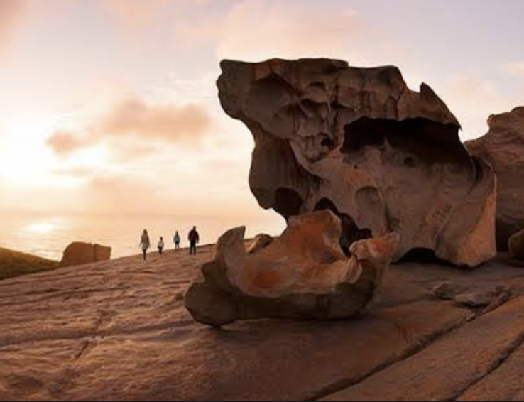 1 Day Kangaroo Island Experience