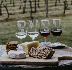 1 Day Hunter Valley Wine Tour