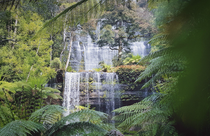 6 Day Tasmania in Comfort