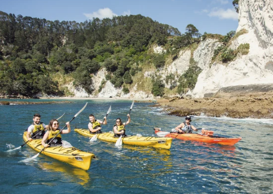 19 Day Auckland to Christchurch