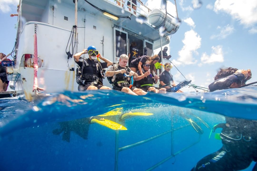 1 Day Snorkel Adventure