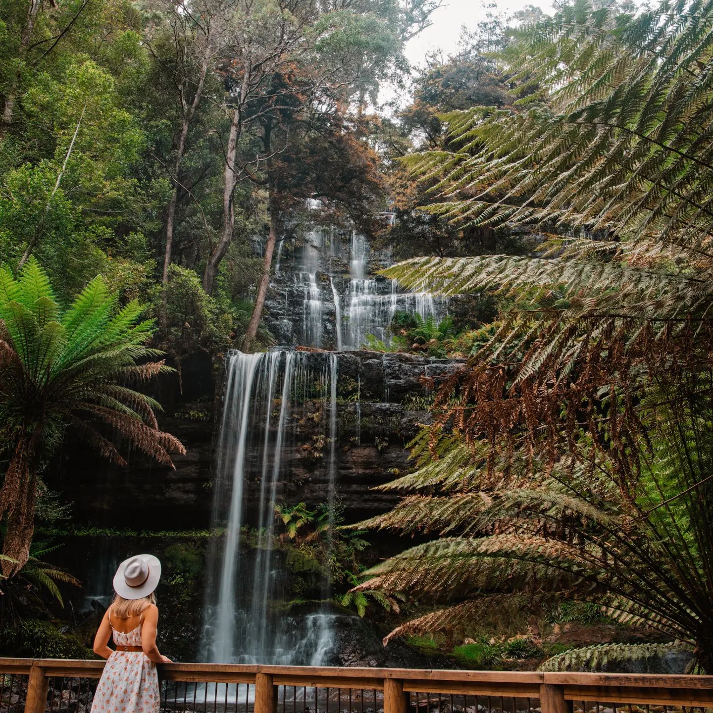 waterfall in Tasmania