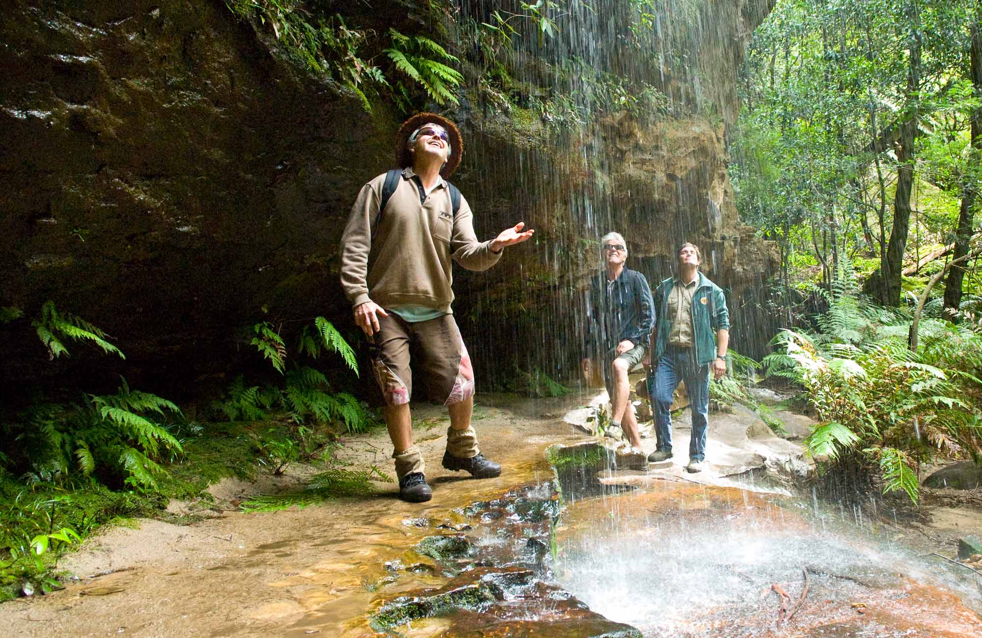 1 Day Blue Mountains Tour
