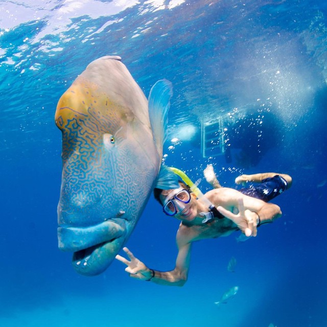 1 Day Luxury Reef Experience