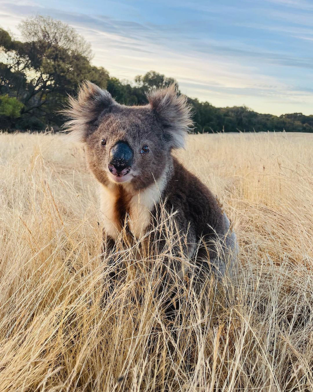 3 Day Kangaroo Island Camping Adventure