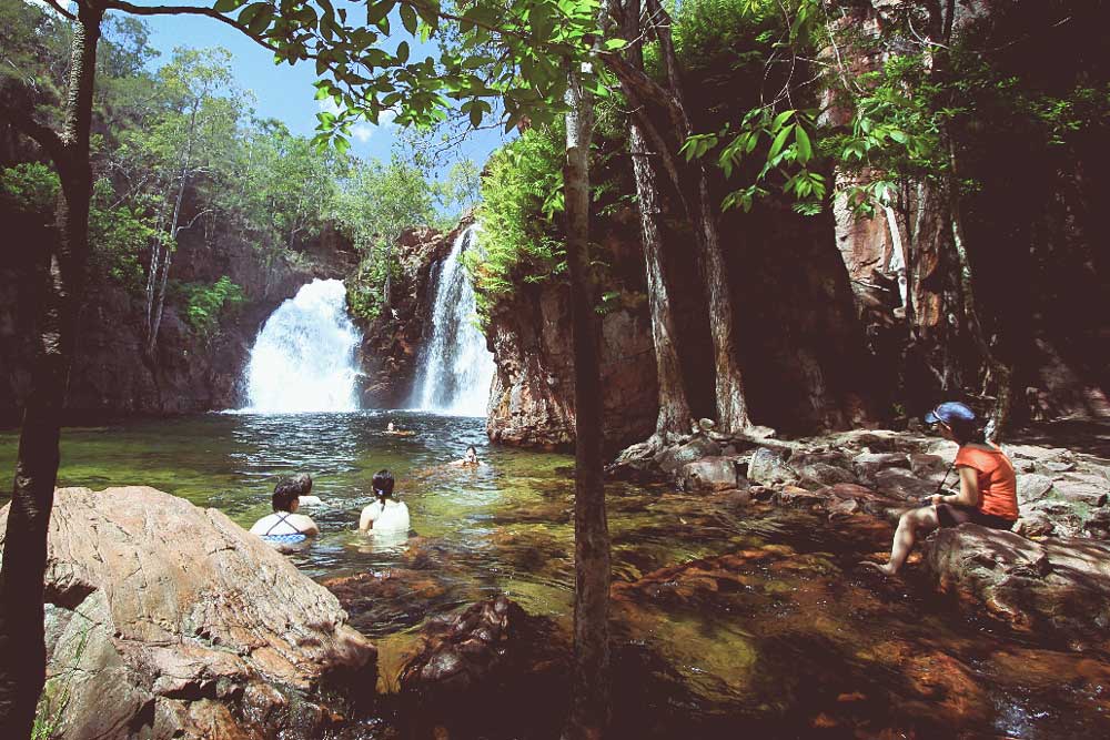 1 Day Litchfield Tour
