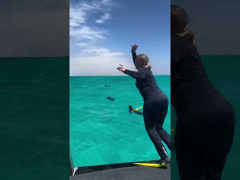 7 Day Perth to Exmouth Recap with Adventure Tours Australia