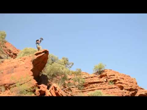 Simba! On no wait, its a bag