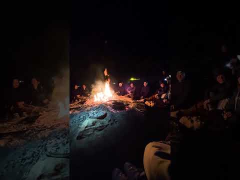 6 Day Alice Springs to Adelaide Tour with Brittany Maxfield - Lost In Australia