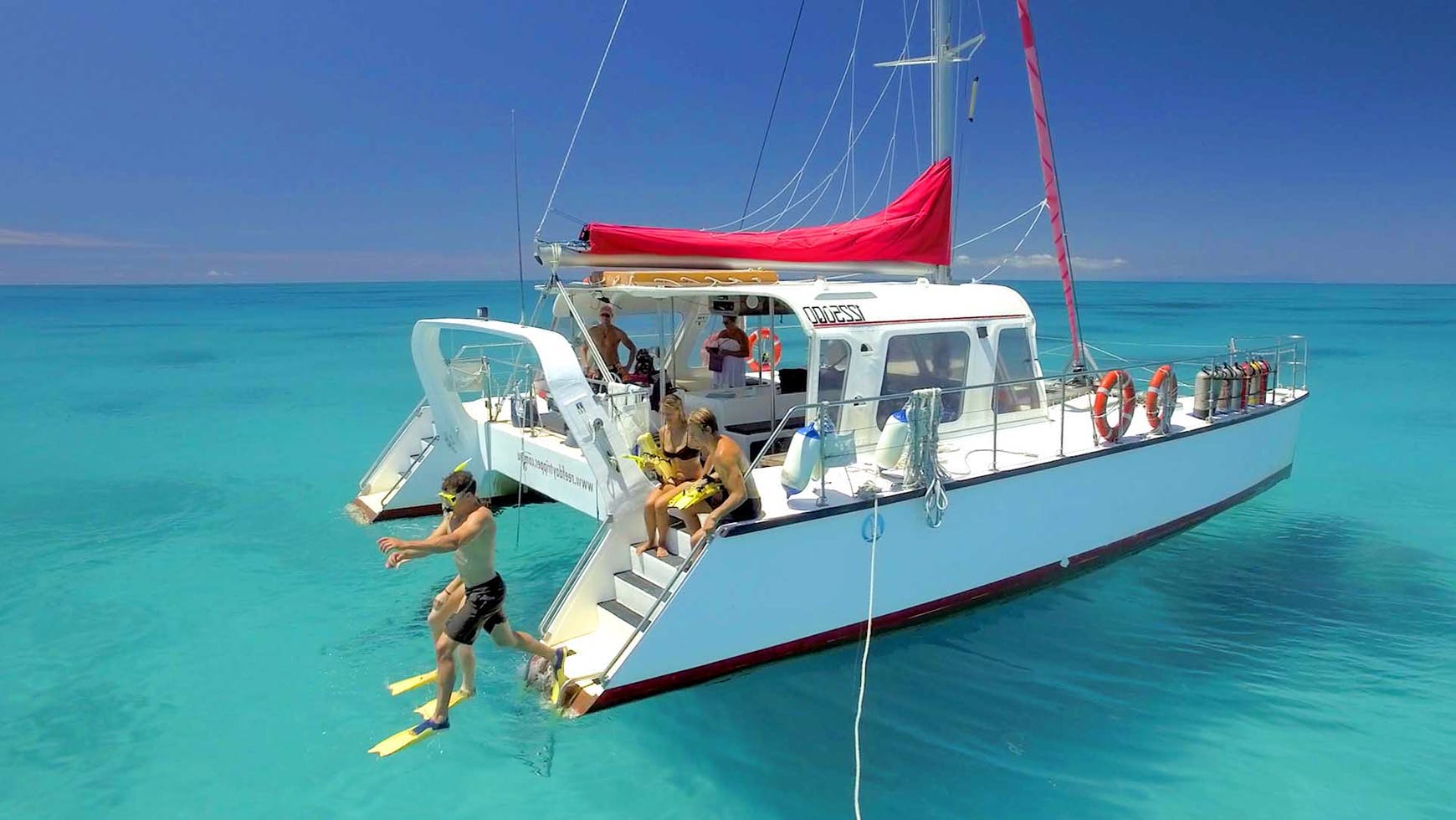 1 Day Reef Sailing & Snorkel Tour
