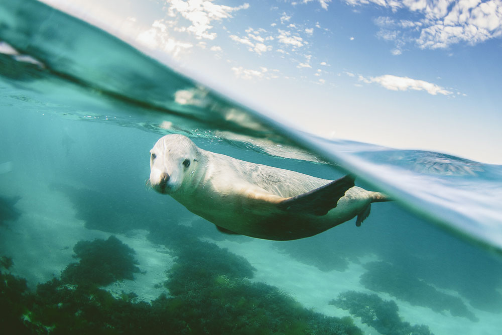 10 Day Adelaide to Perth Tour