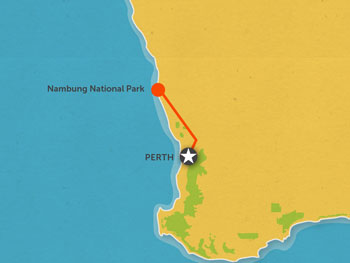 Route map for 1 Day Pinnacles & Star Gazing Tour