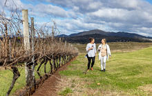 Autopia-Via-Travel---Hunter-Valley-Scarborough-Wine-Co-Pokolbin-Destination-NSW-199756-56.jpg