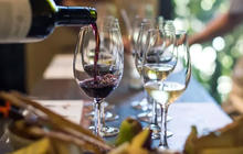 hunter-wine-tour-1-qcaw919qannenlsq9dgodb6wbw3i0nmandco25n3ao.jpg