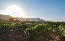 hunter-wine-valley-tours-1-qcaw935eobpzatpzye9xiaptinu8g1trbmnn0pkay8.jpg