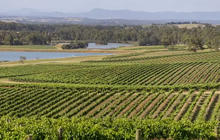tours-in-hunter-valley-1-qcaw95yx8ttu9nlwhxht7s07atgc354yc0m3gjg4fk.jpg