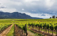 winery-tours-hunter-valley-nsw-1-qcaw9ntuuoiae8vyln7q15hyl50b5e3uqh0bkspn5c.jpg