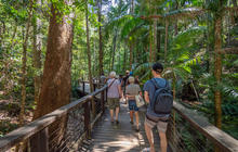 Discovery-Kgari-Adventures-Fraser-Island-25-scaled.jpg