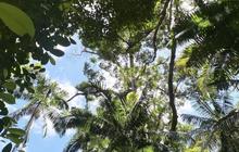 dropbearadventures_1734217222_3523191863974510671_196311637.jpg