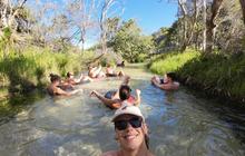 fraser_dingo_1715901310_3369546806210224848_1391324557.jpg