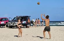 fraser_dingo_1718105710_3388038647771133849_1391324557.jpg