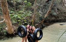 fraser_dingo_1721199315_3413989660412066468_1391324557.jpg