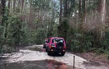 fraser_dingo_1757679084_3720004105227403928_1391324557.jpg