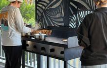 fraser_dingo_1760154671_3740731132770963614_1391324557.jpg