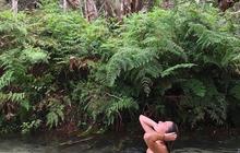 pippieskgariadventures_1659240037_2894237642356526715_6425662448.jpg