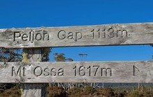 186787225_494629791588712_1780804076441640779_n.jpg