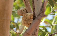 20130818-untitled shoot-1122_0.jpg