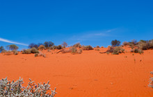 20131205-untitled shoot-00077.jpg