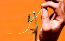 20131205-untitled shoot-00098.jpg
