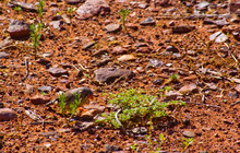 20131206-untitled shoot-00126.jpg