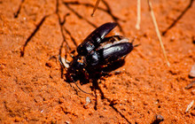 20131207-untitled shoot-00047.jpg