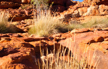 20131207-untitled shoot-00058.jpg