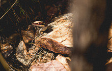 20131229-untitled shoot--41.jpg