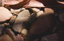 20131229-untitled shoot--42.jpg