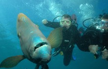 2756021698_fd4ec5c1d9_o.jpg