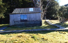 7052289_orig.jpeg