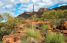 Arkaroo-Rock-Flinders-Ranges-National-Park-South-Australia-800x600.jpg