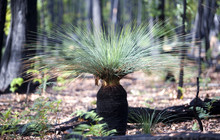 Autopia - Grampians National Park19.jpg