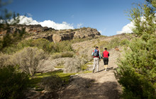Autopia - Hike bush trails of Grampians National Park.jpg