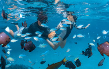 Autopia---Coral-Bay-Ningaloo-World-Heritage-area-Credits-Australias-Coral-Coast-Cakewalk.jpg